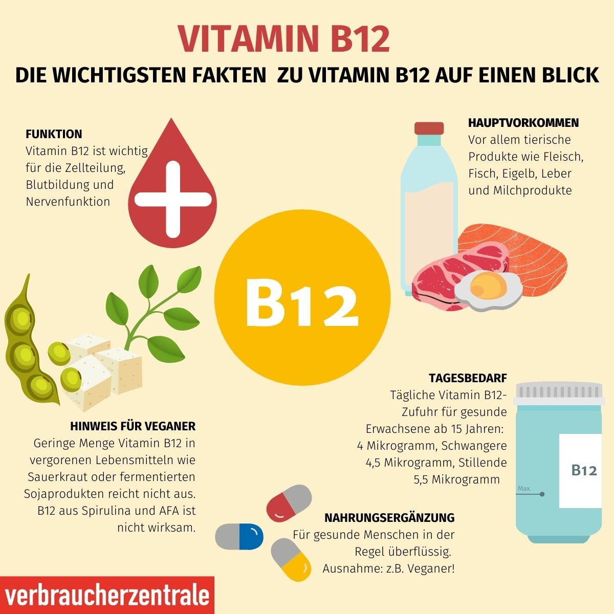 Vitamin B12Ergänzung für Blutbildung, Nervenfunktion und Immunsystem